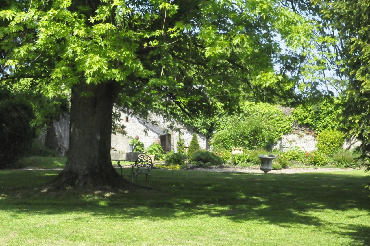 Chateau De St Sauveur D'Émalleville Extérieur photo