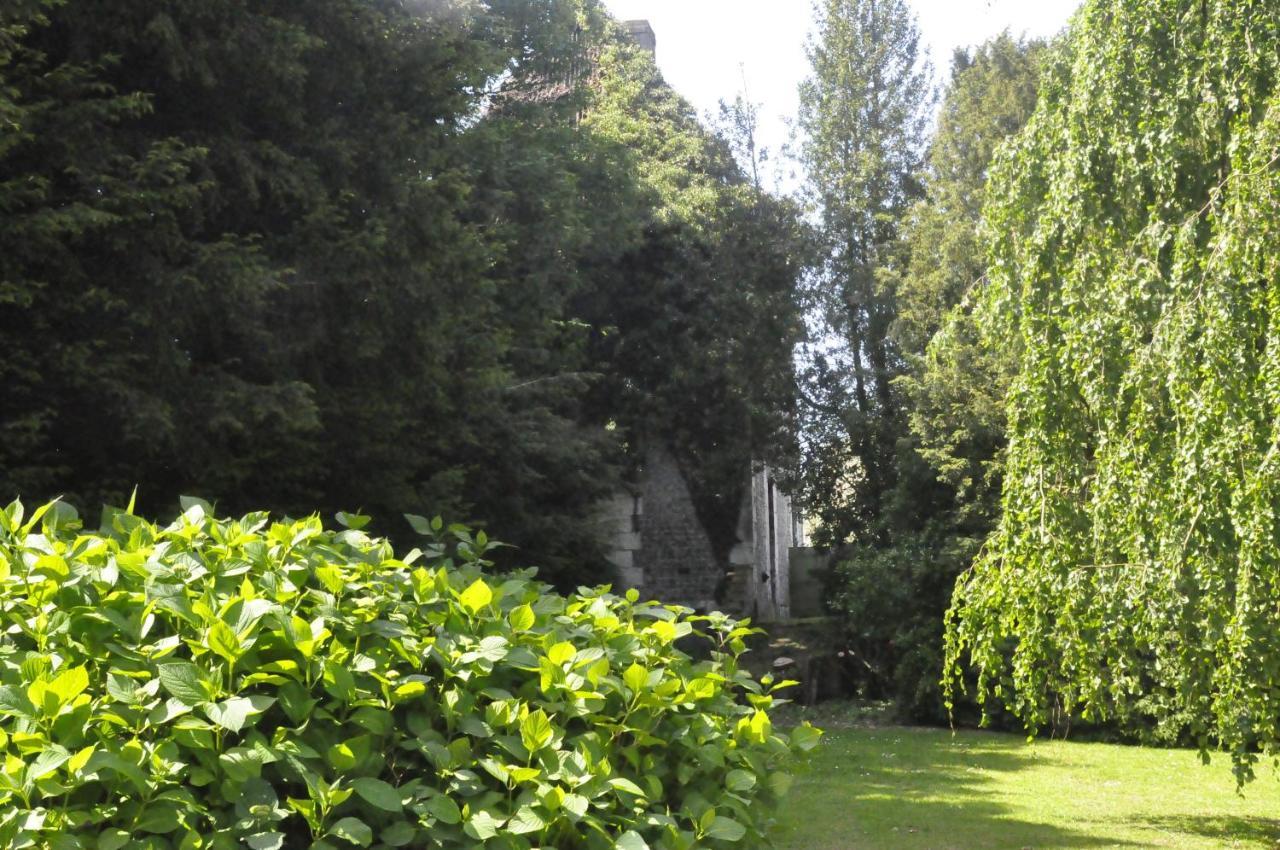Chateau De St Sauveur D'Émalleville Extérieur photo
